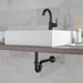 Delta DT031141 P-Trap, matte black - view 3