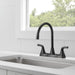 Peerless Parkwood P2935LF Two Handle Kitchen Faucet, matte black - view 2