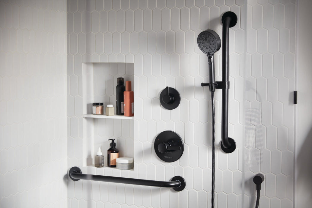 Peerless Precept PTT24047 ADA hand shower, matte black - view 2