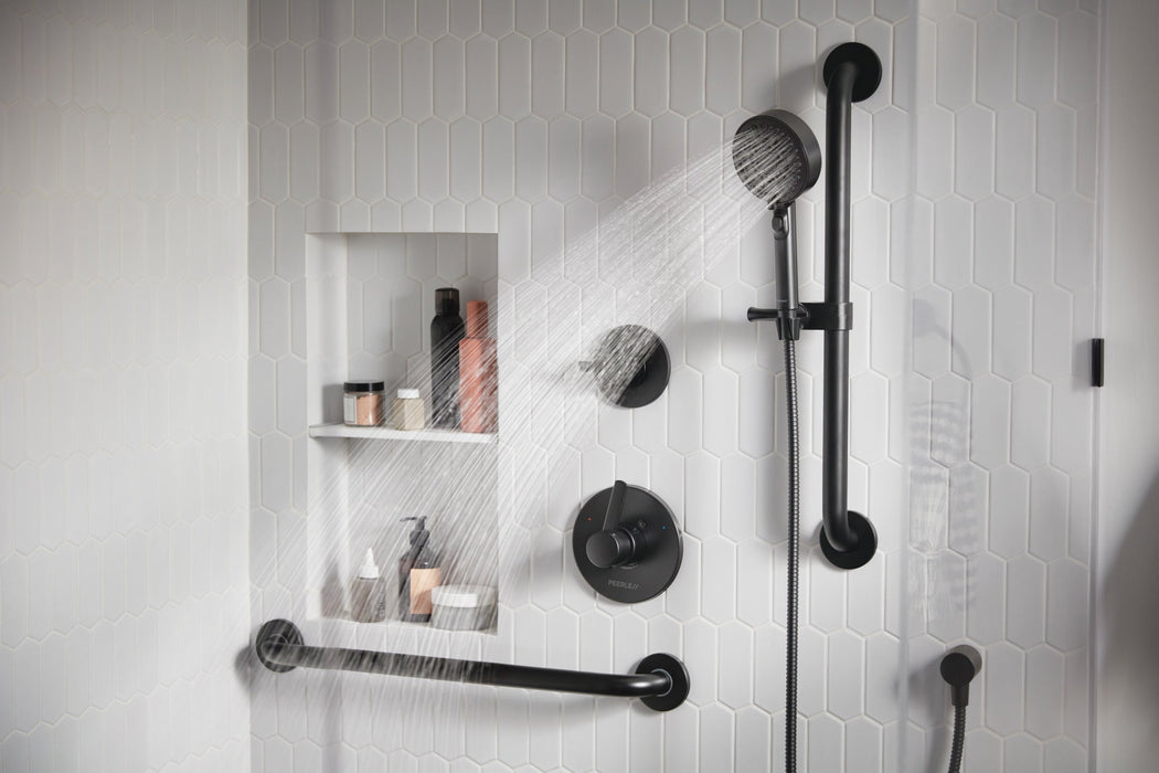 Peerless Precept PTT24047 ADA hand shower, matte black - view 3