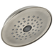 Delta Universal Showering Components RP42578SS Single-Setting Raincan Shower Head, stainless steel