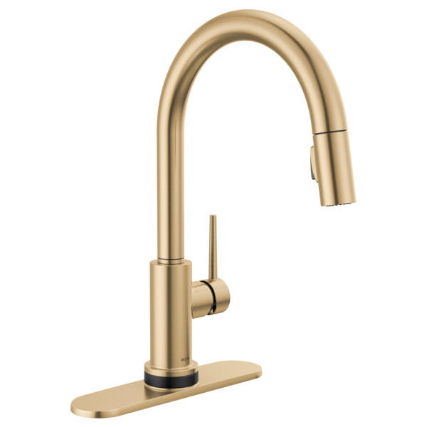 Delta Trinsic RP64070PN Escutcheon & Gasket - 8", champagne bronze - view 2