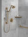 Delta Trinsic RP73384BL Single-Setting Hand Shower, champagne bronze - view 2