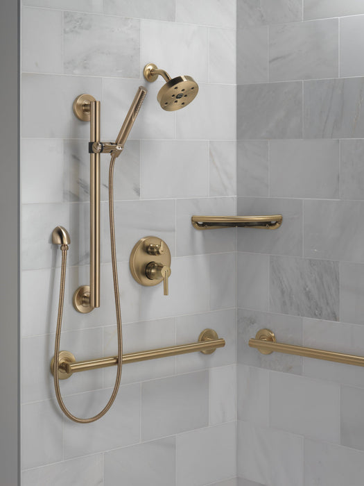 Delta Trinsic RP73384BL Single-Setting Hand Shower, champagne bronze - view 3