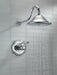 Delta Cassidy T17T297 TempAssure 17T Series Shower Trim, chrome - view 4