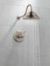 Delta Cassidy T17T297 TempAssure 17T Series Shower Trim, stainless - view 2