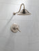 Delta Cassidy T17T297 TempAssure 17T Series Shower Trim, stainless - view 3
