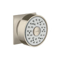 Brushed Nickel