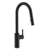 Gerber D454058 Parma Cafe Pull-Down Kitchen Faucet w/ SnapBack Retraction 1.75gpm - Satin Black
