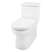 Gerber G0021221 Wicker Park 1.28gpf One Piece Toilet ADA Elongated White - White