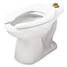 Gerber G0025833 North Point 1.1/1.28/1.6gpf Elongated Floor Mounted Top Spud Bowl 10" Rough-In White - White