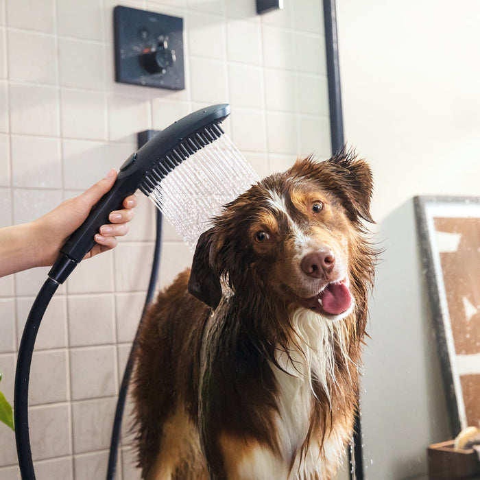 hansgrohe Dog Shower Dog Shower + Quick Connect, 3-Spray, 1.75 GPM,, black - view 2