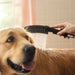 hansgrohe Dog Shower Dog Shower + Quick Connect, 3-Spray, 1.75 GPM,, black - view 3