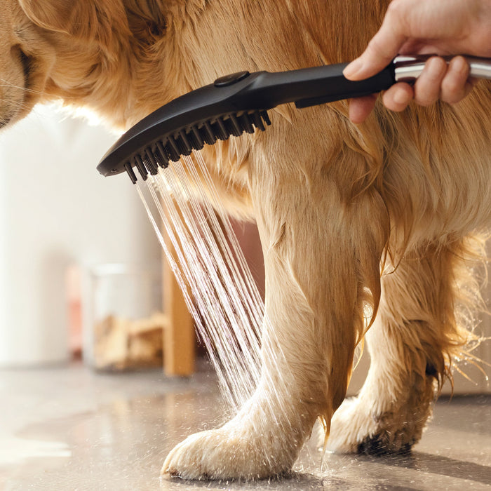 hansgrohe Dog Shower Dog Shower + Quick Connect, 3-Spray, 1.75 GPM,, black - view 4
