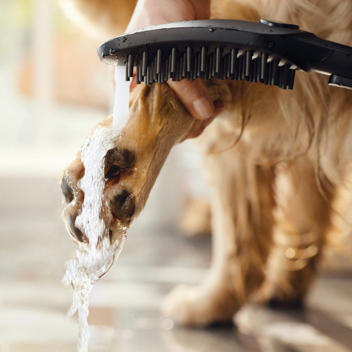 hansgrohe Dog Shower Dog Shower + Quick Connect, 3-Spray, 1.75 GPM,, black - view 5