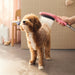 hansgrohe Dog Shower Dog Shower + Quick Connect, 3-Spray, 1.75 GPM,, pink - view 2