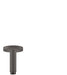 hansgrohe Raindance E Extension Pipe for Ceiling Mount, brushed black chrome