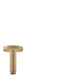 hansgrohe Raindance E Extension Pipe for Ceiling Mount, brushed bronze