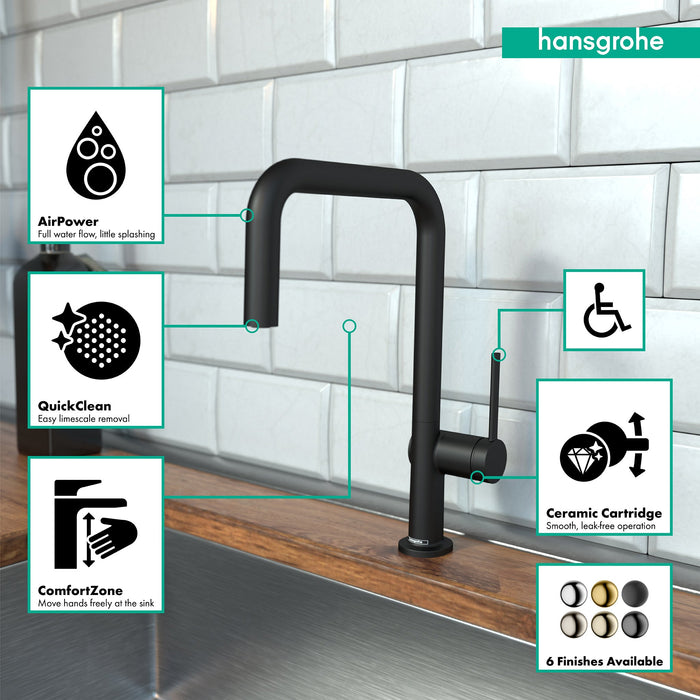 hansgrohe Talis N Kitchen Faucet, U-Style 1-Spray, 1.5 GPM