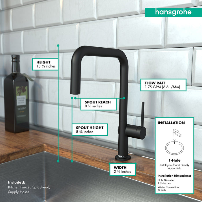 hansgrohe Talis N Kitchen Faucet, U-Style 1-Spray, 1.5 GPM