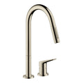 Polished Nickel