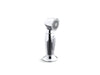 KOHLER K-10101 Accent Kitchen sidespray, polished chrome