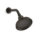 KOHLER K-10590-AK Bancroft 2.5 gpm single-function showerhead with Katalyst air-induction technology, oil rubbed bronze