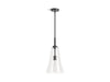 KOHLER K-26850-PE01 Simplice 10" pendant, matte black