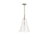 KOHLER K-26851-PE01 Simplice 14" pendant, brushed nickel