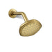 KOHLER K-27050 Occasion Single-function showerhead, 2.5 gpm, vibrant brushed moderne brass