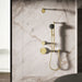 KOHLER K-28682-Y SpaViva Two-function handshower with all-in-one cleansing device, 2.5 gpm, vibrant brushed moderne brass...