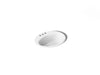 KOHLER K-2905-4 Farmington 19-1/4" oval drop-in bathroom sink, white