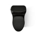 KOHLER K-30811 Santa Rosa One-piece compact elongated 1.6 gpf toilet with Revolution 360 swirl flushing technology, black...