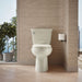 KOHLER K-31618 Cimarron ContinuousClean ST toilet tank, 1.28 gpf, biscuit - view 4