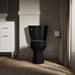 KOHLER K-31640-RA Cimarron Two-piece round-front toilet, 1.6 gpf, black black - view 5