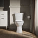 KOHLER K-32808-RA Kelston Toilet tank, 1.28 gpf, white - view 3
