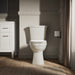KOHLER K-32810 Kelston Two-piece elongated toilet, 1.28 gpf, default title - view 5
