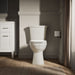 KOHLER K-32818 Kelston ContinuousClean ST toilet tank, 1.28 gpf, biscuit - view 5