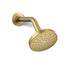 KOHLER K-33641-Y Elate Single-function showerhead, 2.5 gpm, vibrant brushed moderne brass