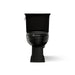 KOHLER K-3551 Archer Two-piece Elongated Toilet, 1.28 GPF, Black Black - front view of product