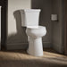 KOHLER K-35717 Highline Tall Two-piece Round-front Toilet, 1.6 GPF, White - image focused on single product story