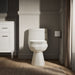 KOHLER K-3619-RA Cimarron One-piece elongated toilet with concealed trapway, 1.28 gpf, biscuit - view 4