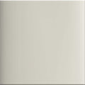 Vibrant Polished Nickel
