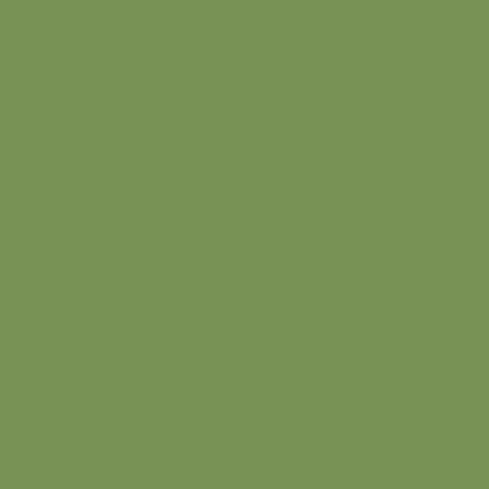 KOHLER K-36437 KOHLER Enameled Cast Iron 1" x 2" Samples, fresh green
