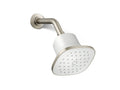 Vibrant Brushed Nickel
