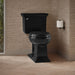 KOHLER K-3817 Memoirs Stately Two-piece Elongated Toilet, 1.28 GPF, Black Black - image focused on single product story