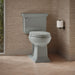 KOHLER K-3817 Memoirs Stately Two-piece Elongated Toilet, 1.28 GPF, Ice Grey - image focused on single product story