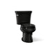 KOHLER K-3947-T Wellworth Two-piece Round-front Toilet, 1.28 GPF, Black Black - 3/4 view of product