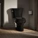 KOHLER K-3947-U Wellworth Two-piece Round-front Toilet, 1.28 GPF, Black Black - image focused on single product story