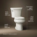 3/4 view of product with dimensions